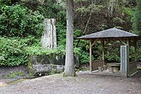 根反の大珪化木の全景。東屋が設けられ、天然記念物指定の石碑と解説板が設置されている。