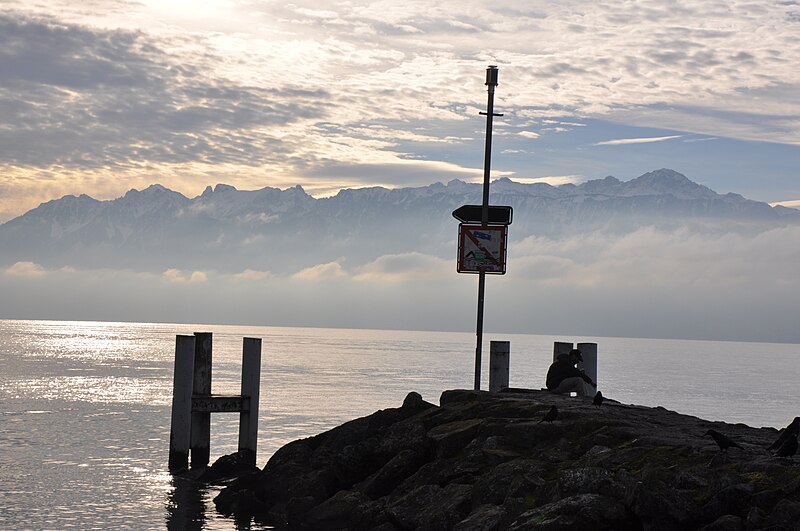 File:Lausanne Twilight.JPG