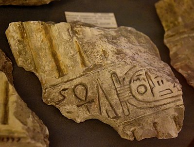 Limestone column fragment depicting reeds and an early form Aten cartouche. Reign of Akhenaten. Amarna, Egypt. New Kingdom, late 18th Dynasty. The Petrie Museum of Egyptian Archaeology, London