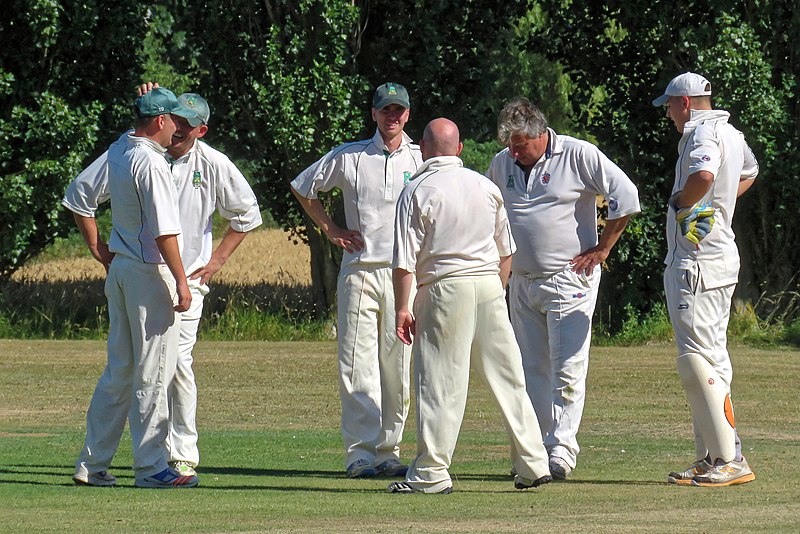 File:Little Hallingbury CC v. Thorley CC at Gaston Green, Essex 055.jpg