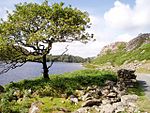 Llyn Cwm Bychan