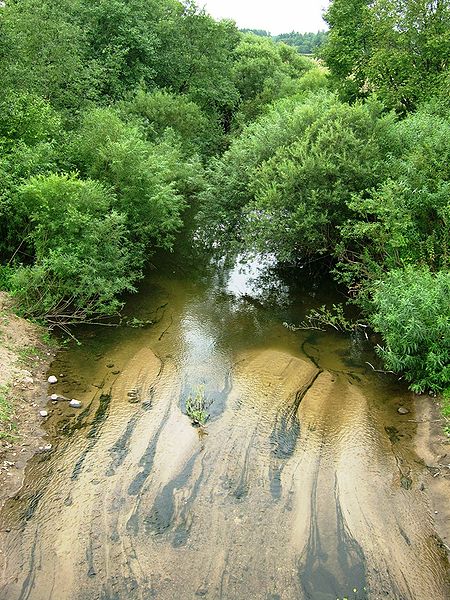 File:LokystaTiesŠilale.JPG