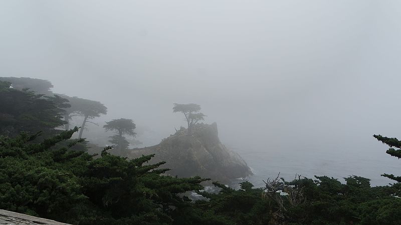 File:Lone Cypress at 17 miles drive.jpg