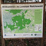 Lorenzer Reichswald