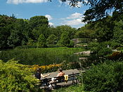 Lower Central Park