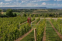 Luckett Vineyards, Gaspereau Valley, Kings County Luckett Vineyards Gaspereau Valley Nova Scotia Canada.jpg