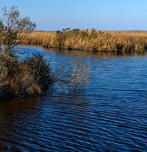 Mackay Island Wildlife Refuge