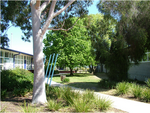 John Fawkner College