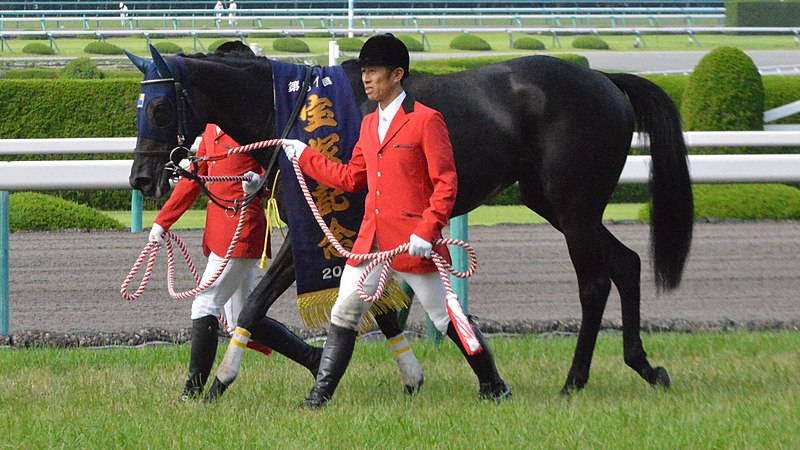 マリアライト (競走馬) - Wikipedia