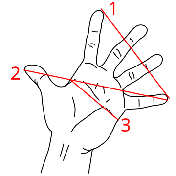 File:Measurements of the hand.svg