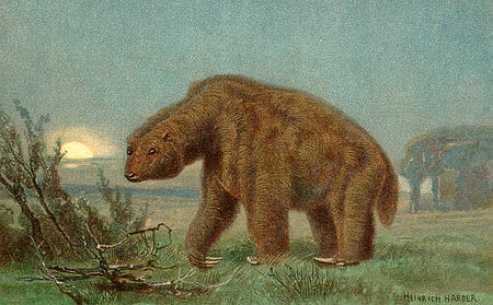 Tập_tin:Megatherium.jpg