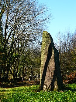 Image illustrative de l’article Menhir de Goh-Menhir