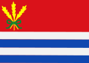 Vlag van Middenschouwen