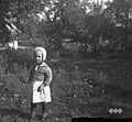 Mimi, 2 leti stara, Petrušna vas 1950.jpg