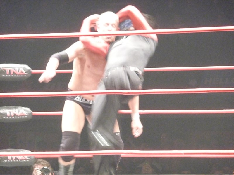 File:Mr Anderson vs Jeff Hardy.jpg