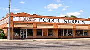 Thumbnail for Mt. Blanco Fossil Museum