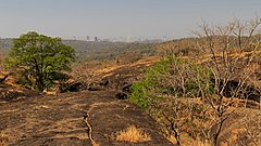 Sanjay Gandhi National Park