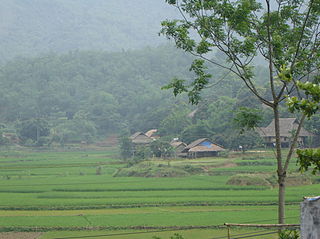 <span class="mw-page-title-main">Muong people</span> Ethnic group in Northern Vietnam