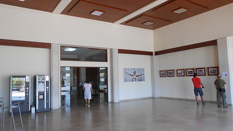 File:Museu Santos Rocha hall 3.JPG