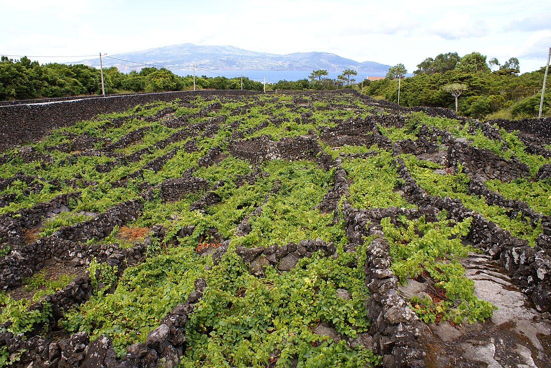 Açores VR