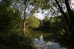 Schwöbing floodplain