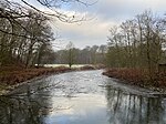 Eichen-Hainbuchenwald in der Wupperschleife