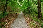 Svenska: Naturreservat Skrylle, Lunds kommun