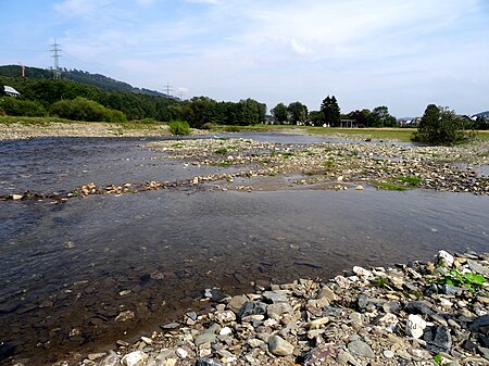 Naturschutzgebiet Ruhrtal bei Bestwig