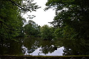 New pond Ballenstedt.jpg