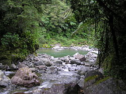 Clem Creek flowing into the Waiohine River New-zealand-tararuas-clem-creek-waiohine-river.jpg