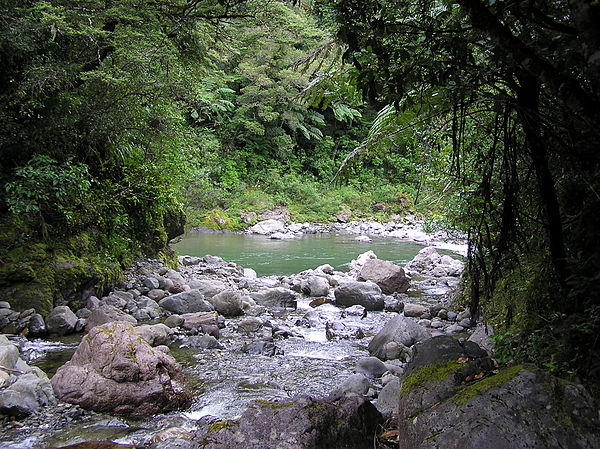 Clem Creek flowing into the Waiohine River