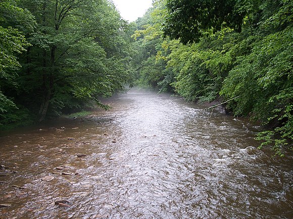 The North Fork of the Cherry River in the Monongahela National Forest in northern Greenbrier County North Fork Cherry River West Virginia.jpg