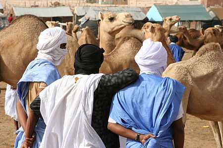 Tập tin:Nouakchott camel market2.jpg