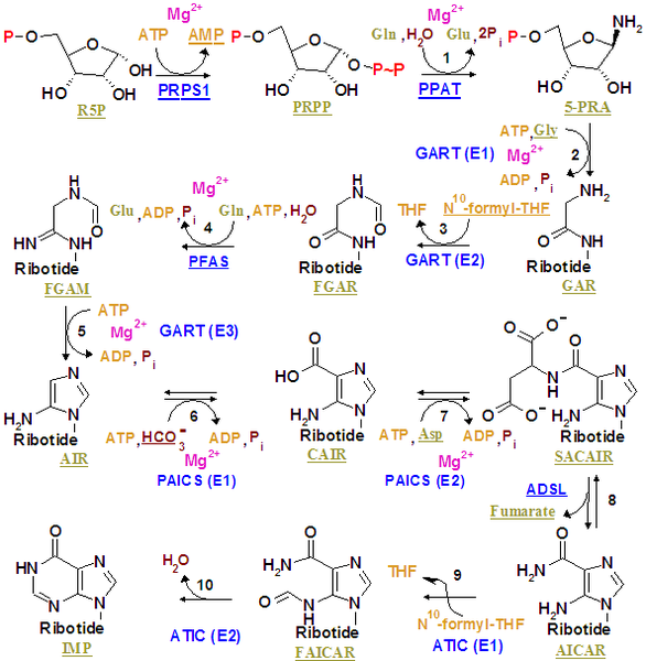 File:Nucleotides syn1.png