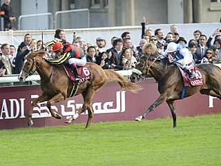 <span class="mw-page-title-main">2012 Prix de l'Arc de Triomphe</span>