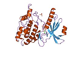 PDB 1ql6 EBI.jpg