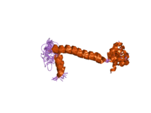 PDB 2jo1 EBI.png