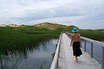 Vignette pour Parc national de l'Île-du-Prince-Édouard