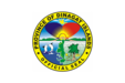 Flag of Dinagat Islands, Philippines