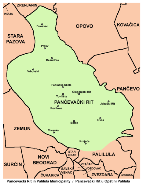 File:Pancevacki rit map.png