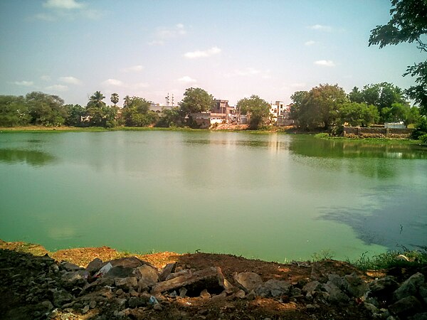 A pond at Pinapadu area of Tenali