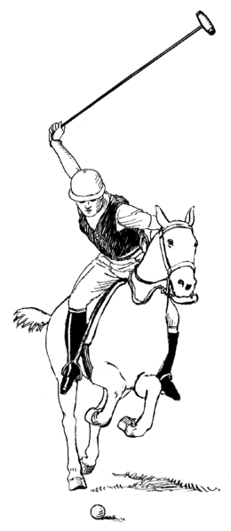 File:Polo - Sports (PSF).png
