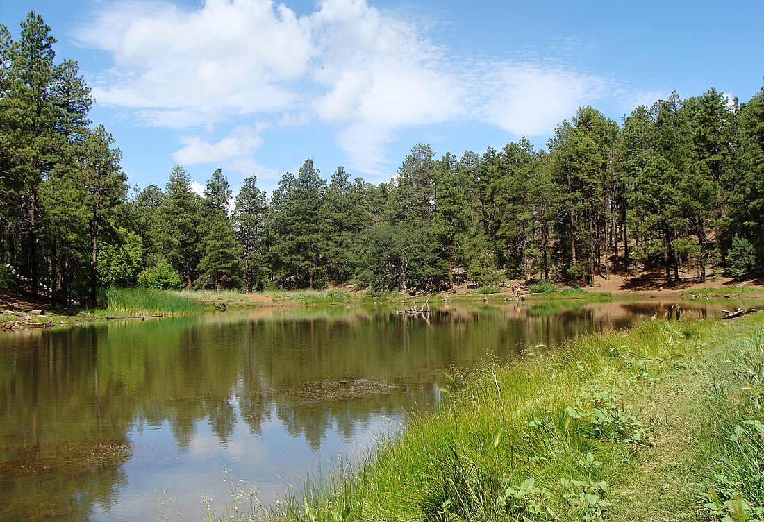 Prescott National Forest