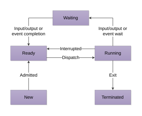 The process life cycle