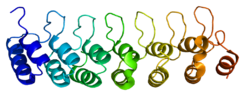Protein BCL3 PDB 1k1a.png