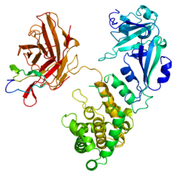 Protein HBEGF PDB 1xdt.png