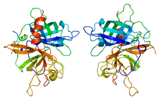 <span class="mw-page-title-main">Tissue plasminogen activator</span> Protein involved in the breakdown of blood clots