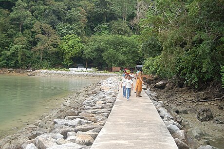 Pulau Dayang Bunting