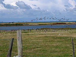 Iagttagelsens naturreservat.