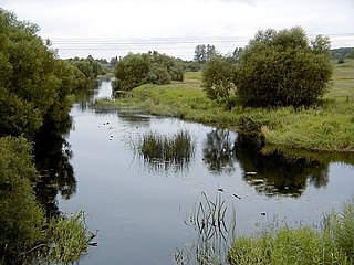 Utroya River river